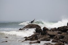 IMG_6623