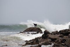 IMG_6624