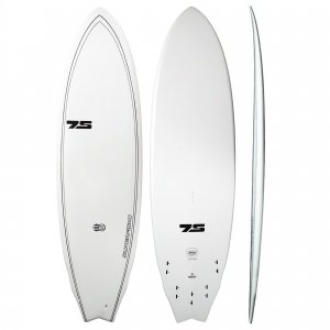 Rent a hybrid fish surfboard santa monica